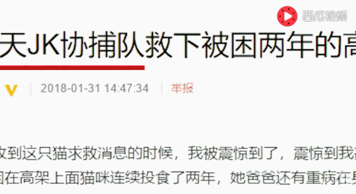 西瓜视频上不一样的他们，却都在做着这些相同的事情……