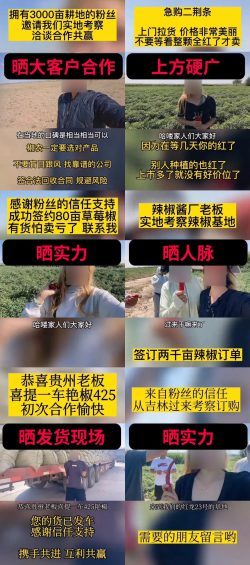 小白抖音卖辣椒，月销2000万！从0到1，真实案例复盘！