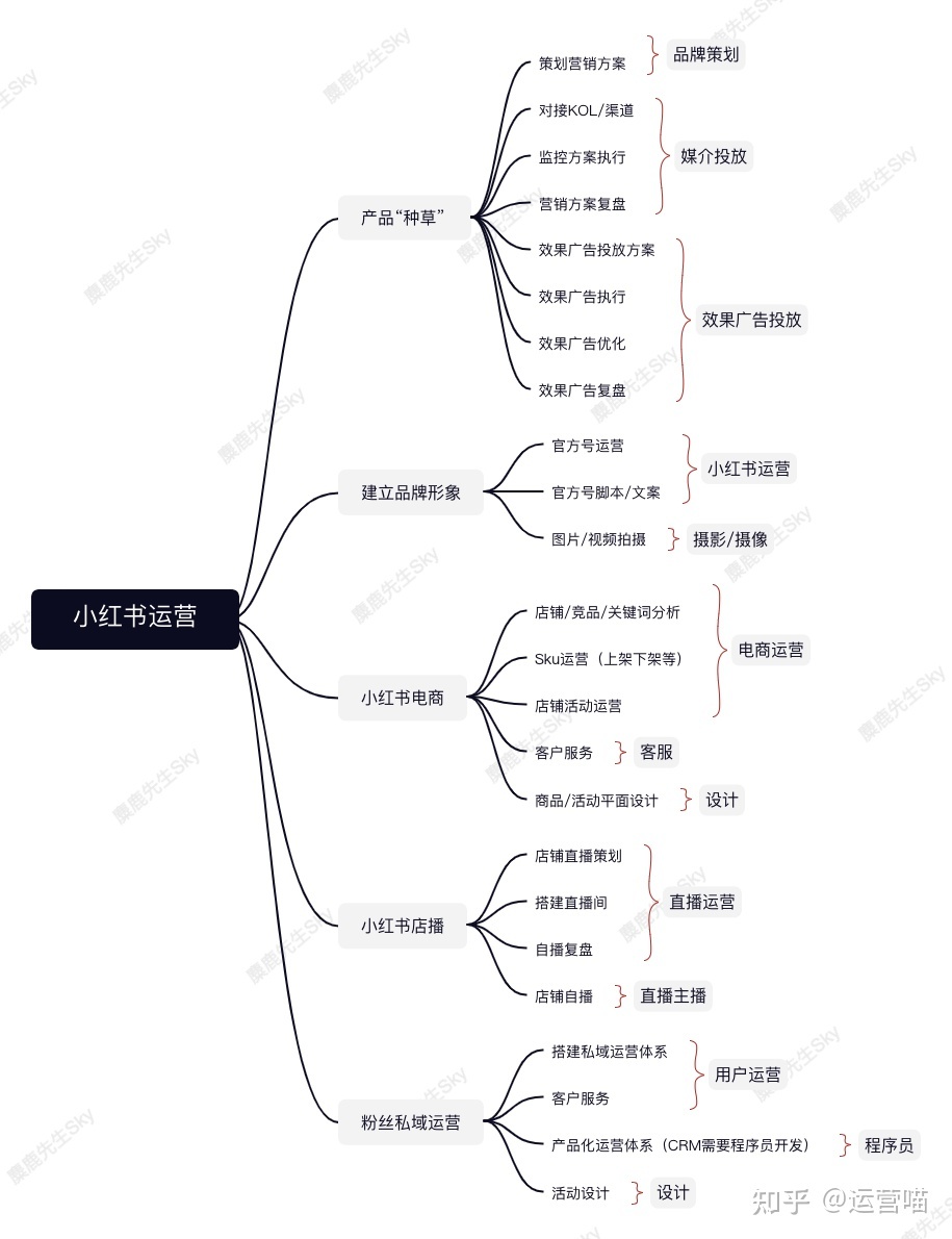 企业的小红书运营团队组织架构设计方案