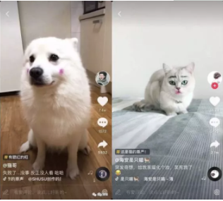 短视频怎么做才能出爆款？