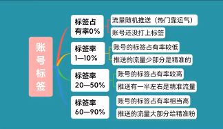 短视频账号运营实战手册、如何从0快速起号全流程