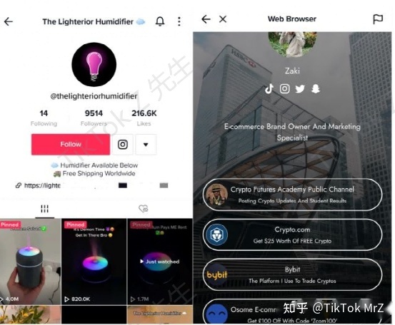 分分钟玩转TikTok短视频带货，新手也能行！