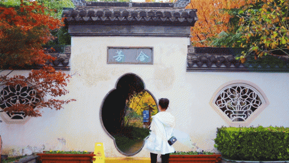 拍短视频的10种技巧！新手博主想涨粉赚钱必看！2000字干货