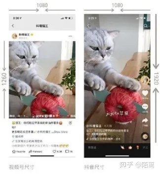 新手如何玩转视频号，2022年视频号运营实操！