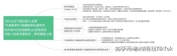 海外版抖音TIKTOK要盈利怎么做才能更精准迅速？