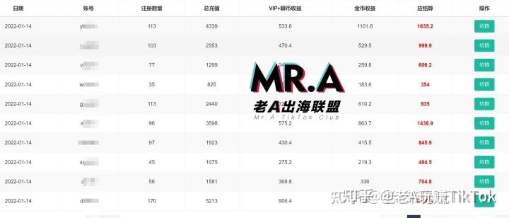 海外版抖音TIKTOK要盈利怎么做才能更精准迅速？