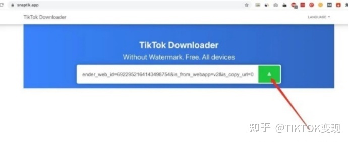 在国内怎么下载tiktok，有没有大神可以教一下？