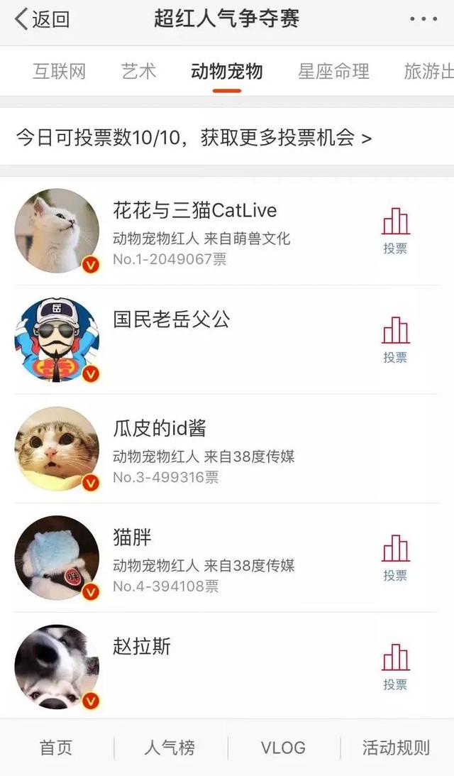 从回忆小马甲到花花与三猫，宠物网红进化论