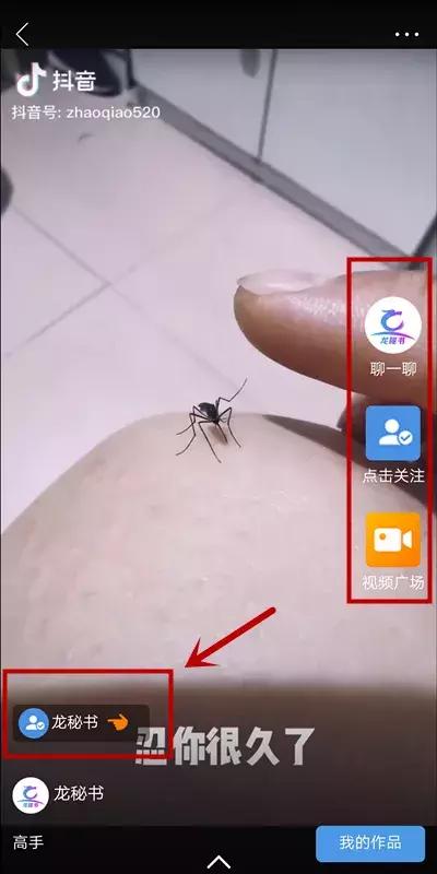 「正式上线」龙秘书短视频营销让您零成本做推广
