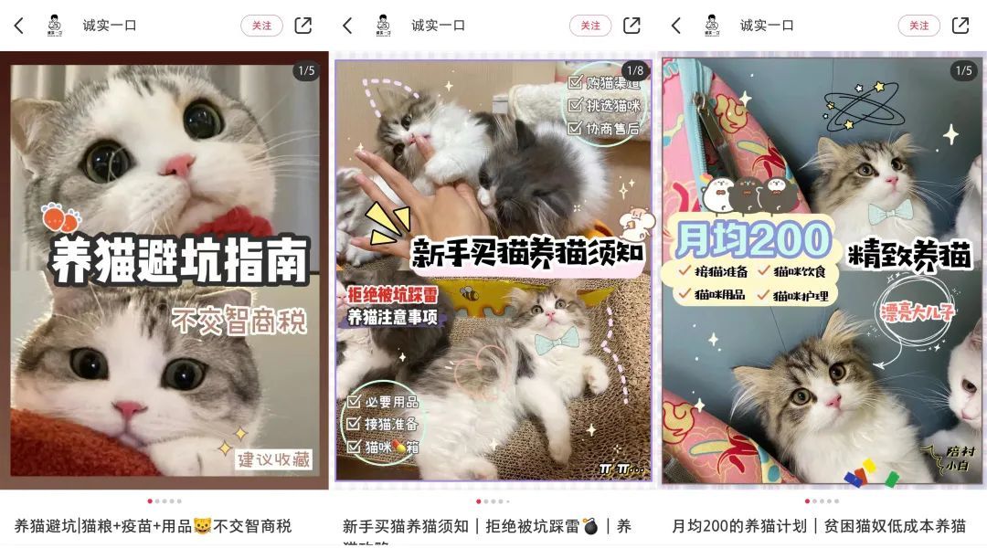 业绩提高50%!双十一小红书种草推广该这么玩! 业绩提高50%!双十一小红书种草推广该这么玩!