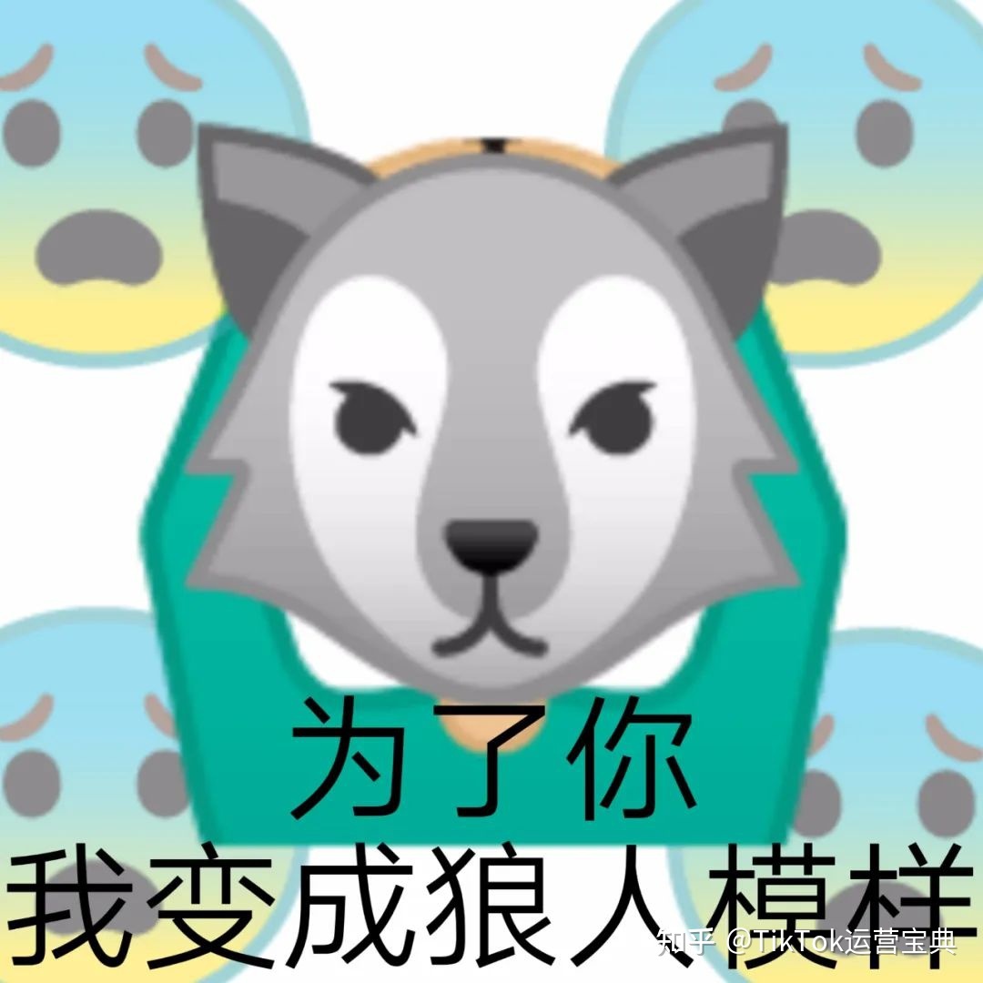 TikTok 原创短视频傻瓜级入门教程