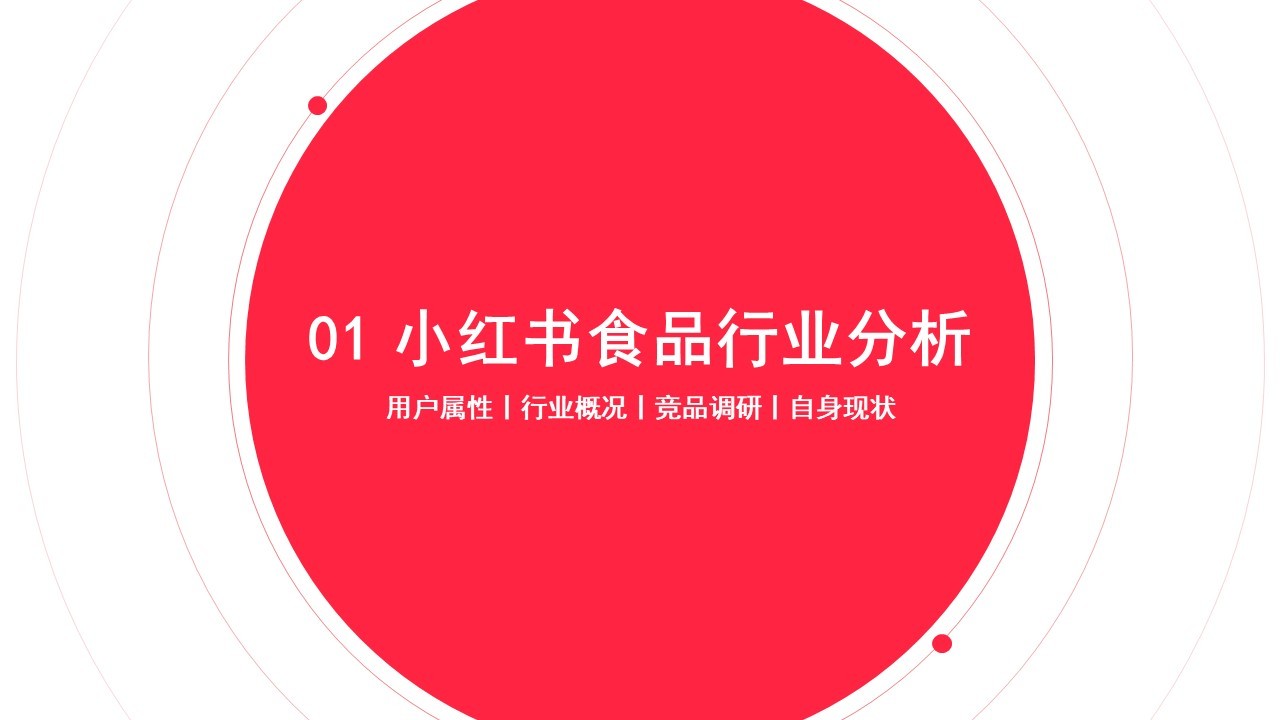 2022飞旺辣条小红书品牌营销方案