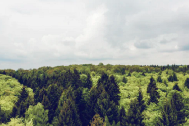 淘宝发货超时怎么赔偿？有哪些规则？