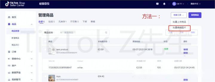 全网最全TikTok英国小店开店教程