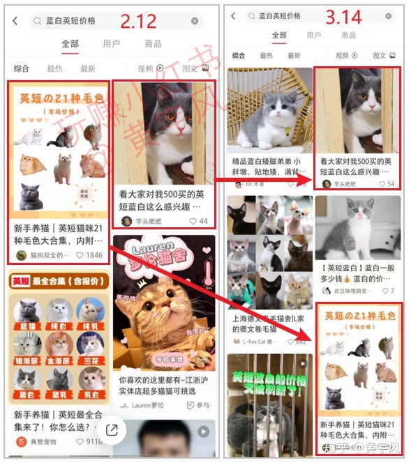 3.4 这些都是小红书的流量入口【玩赚小红书】