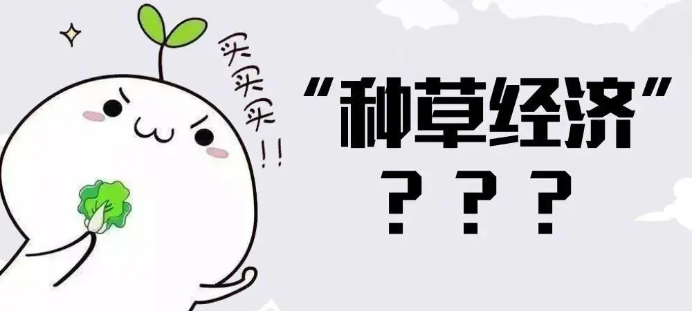 业绩提高50%!双十一小红书种草推广该这么玩! 业绩提高50%!双十一小红书种草推广该这么玩!