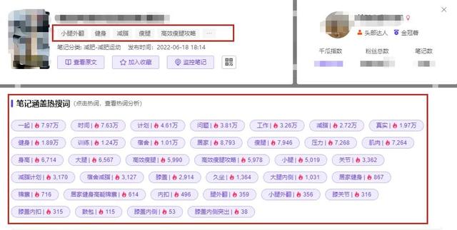 日引流5000+！如何利用关键词布局提高小红书笔记排名？