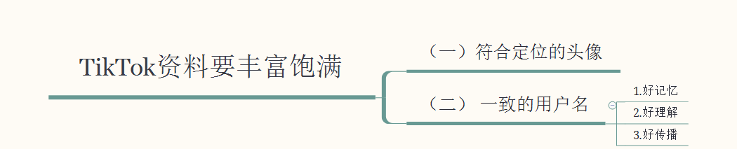 了解一下——海外抖音TikTok月涨粉100万技巧，老A纯分享 …