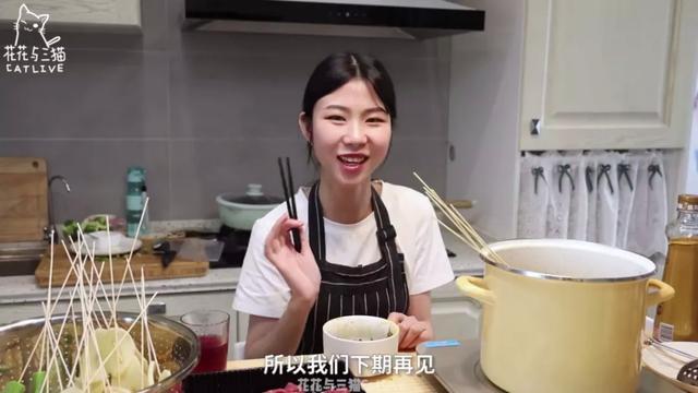 从回忆小马甲到花花与三猫，宠物网红进化论