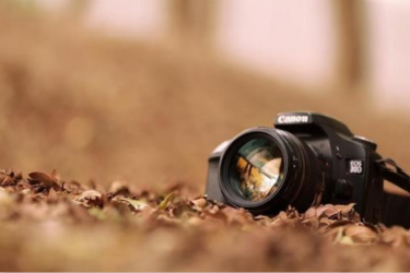 亚马逊调价幅度过高会怎样（亚马逊网的价格定位策略）