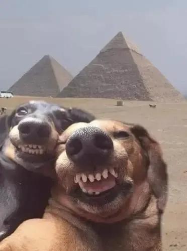 内涵搞笑段子，笑了必须关注