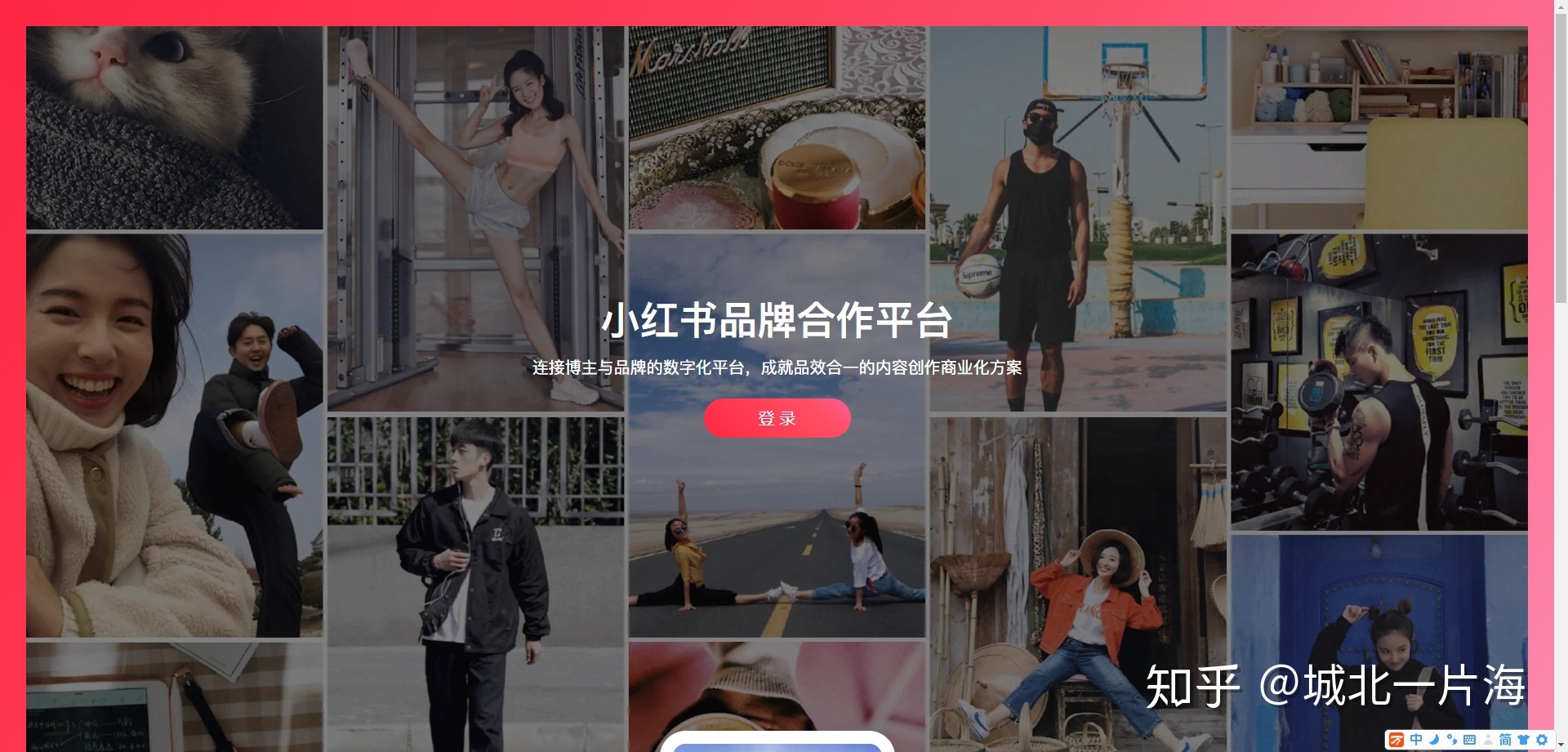 小红书运营最全干货，教你从0开始做一个月入1W的KOL