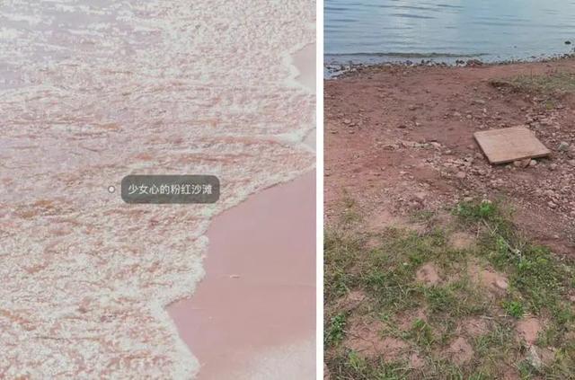 美团挑战小红书，种草社区“珍箱”能否“真香”？