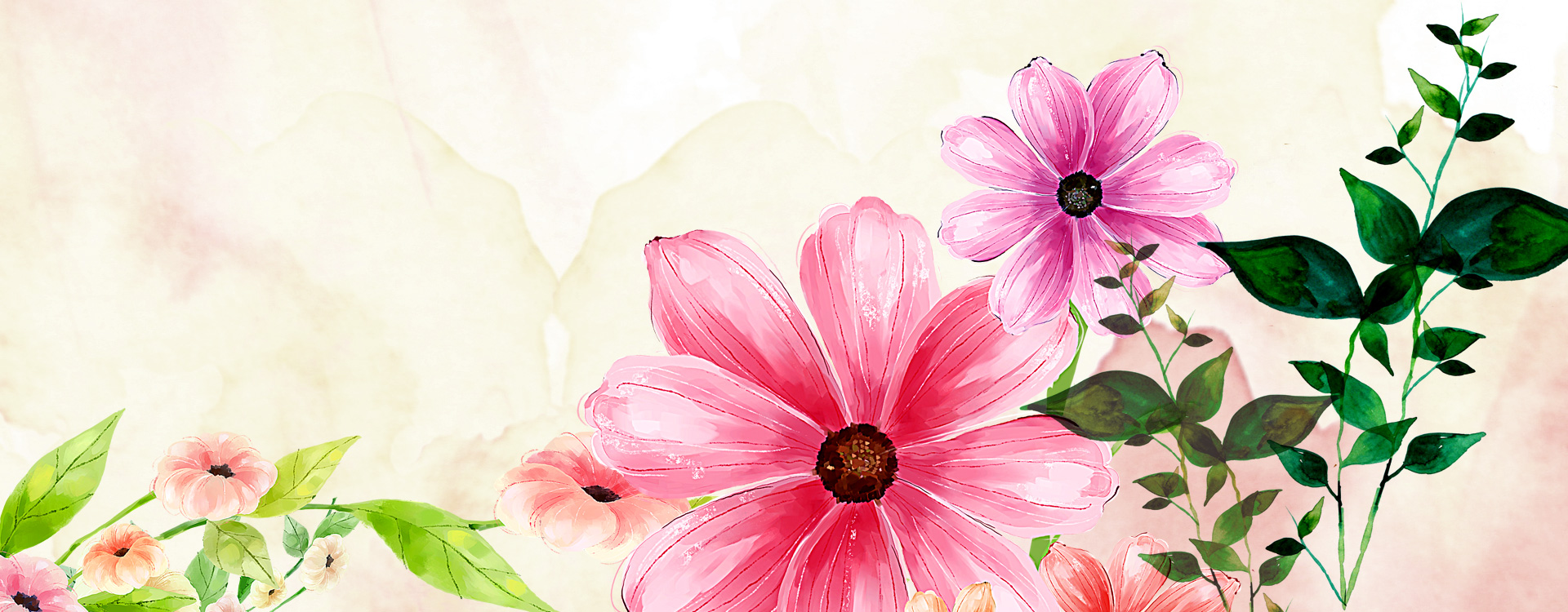 粉色唯美花朵淘宝店铺装修素材图片