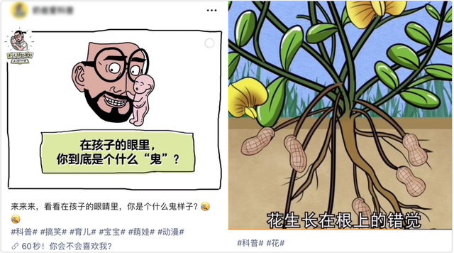 培训机构的视频号，该怎么做？