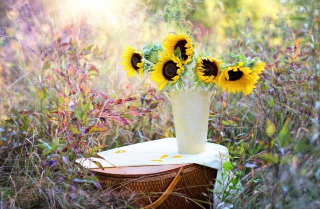 怎么运营小红书？我是如何达到这么高的收益的？