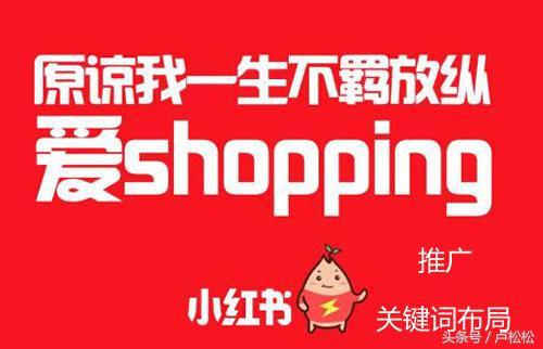 如何利用小红书推广营销,排名机制流出 如何利用小红书推广营销,排名机制流出