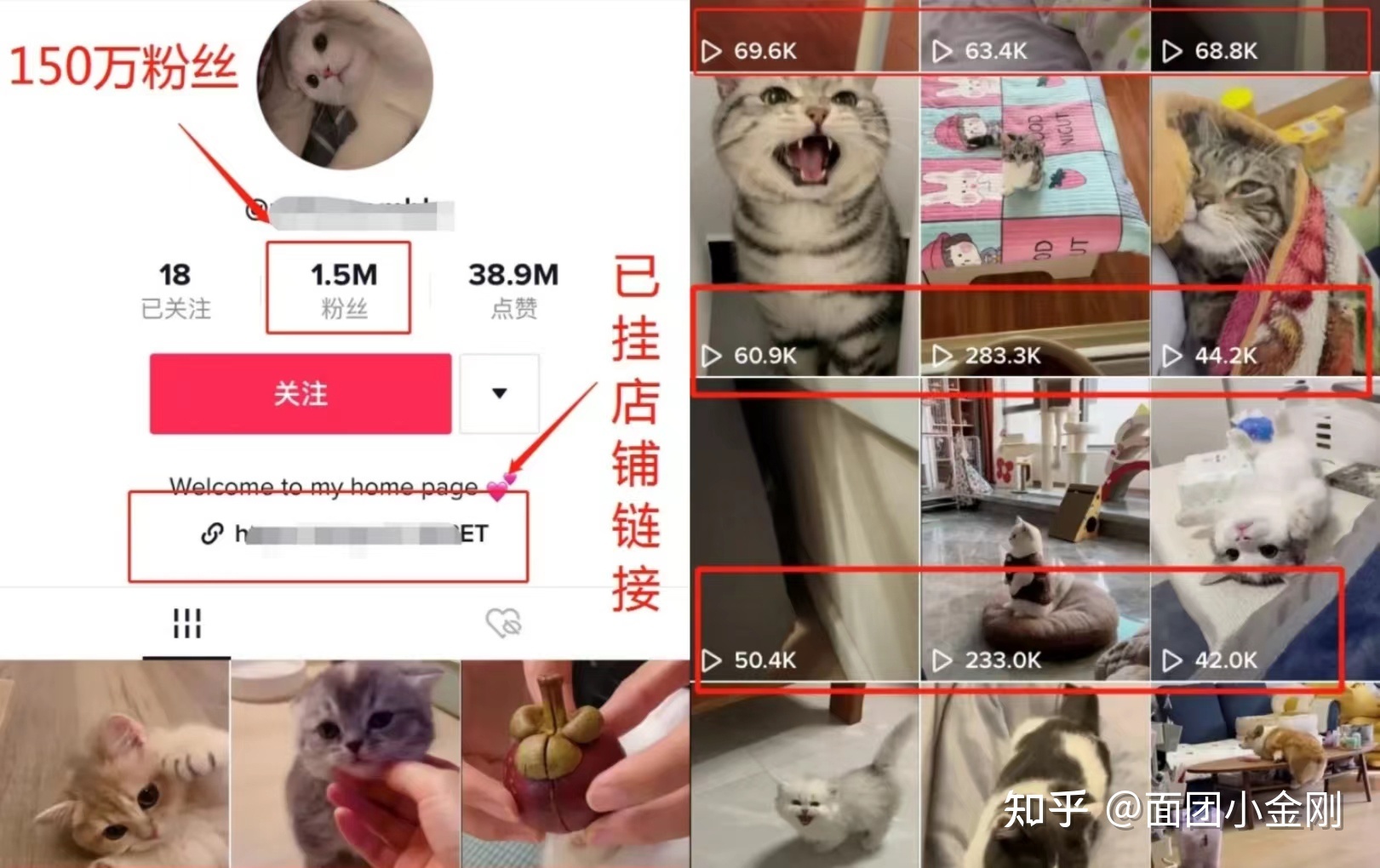 怎么用tiktok短视频变现赚钱？（1天赚3万暴利玩法分享！）