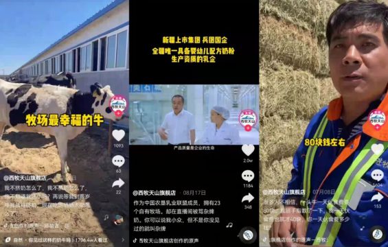 抖店闭环攻略（抖品牌篇），3个月从0到1000万月销增长案例