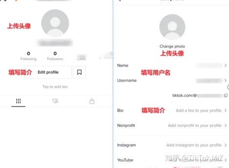 分分钟玩转TikTok短视频带货，新手也能行！