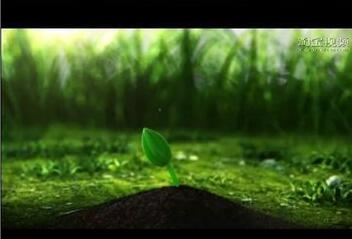 淘宝详情页装修：如何给详情页添加视频教程