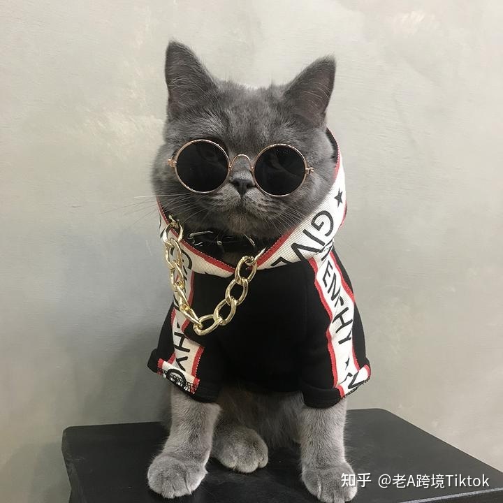 2022年，TikTok，这个风口你不能再错过了！