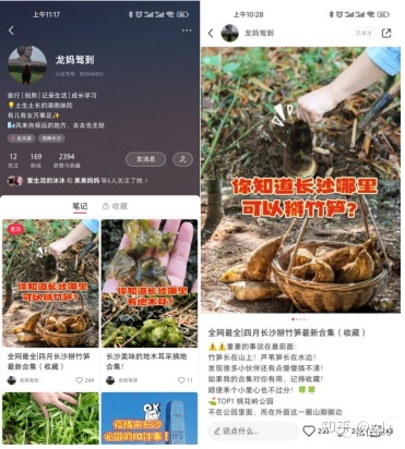 新媒体运营|本地品牌低成本引爆小红书