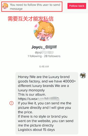 海外Tiktok赚钱的都在玩私域