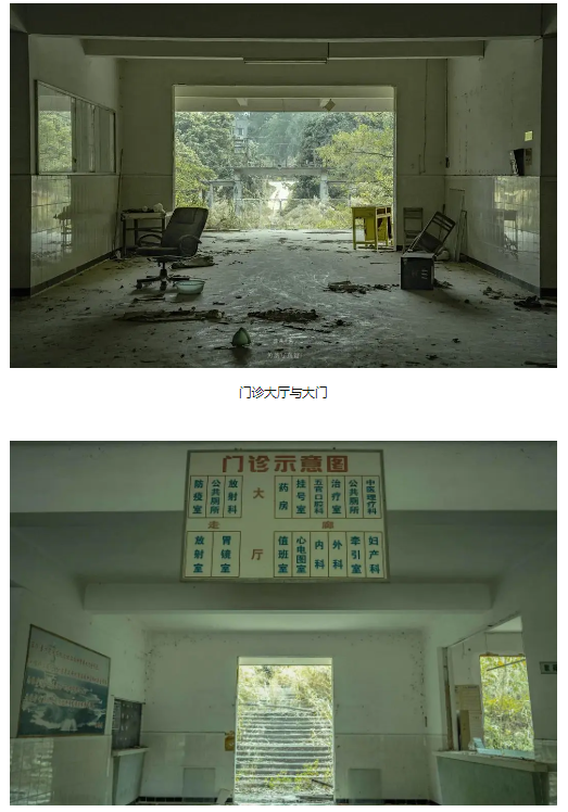 不断“种草”的小红书，正在让互联网杂草丛生