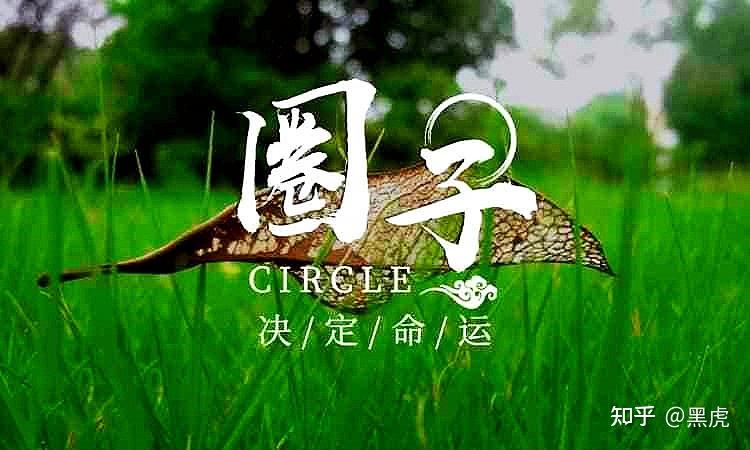 视频号矩阵IP带货技巧：话是糙了点，却能够直击核心