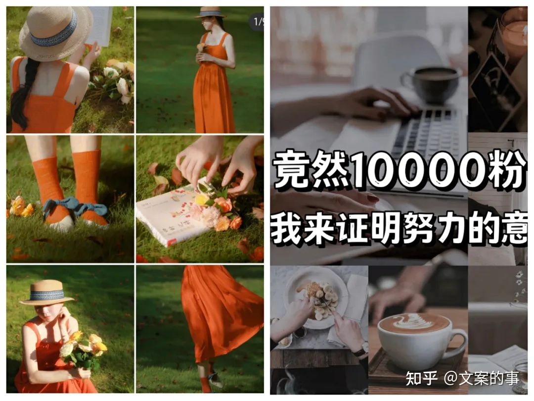 小红书企业号运营,10个必看技巧(4000字干货) 小红书企业号运营,10个必看技巧(4000字干货)