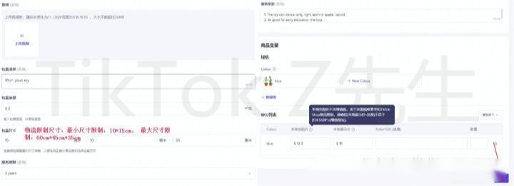 全网最全TikTok英国小店开店教程