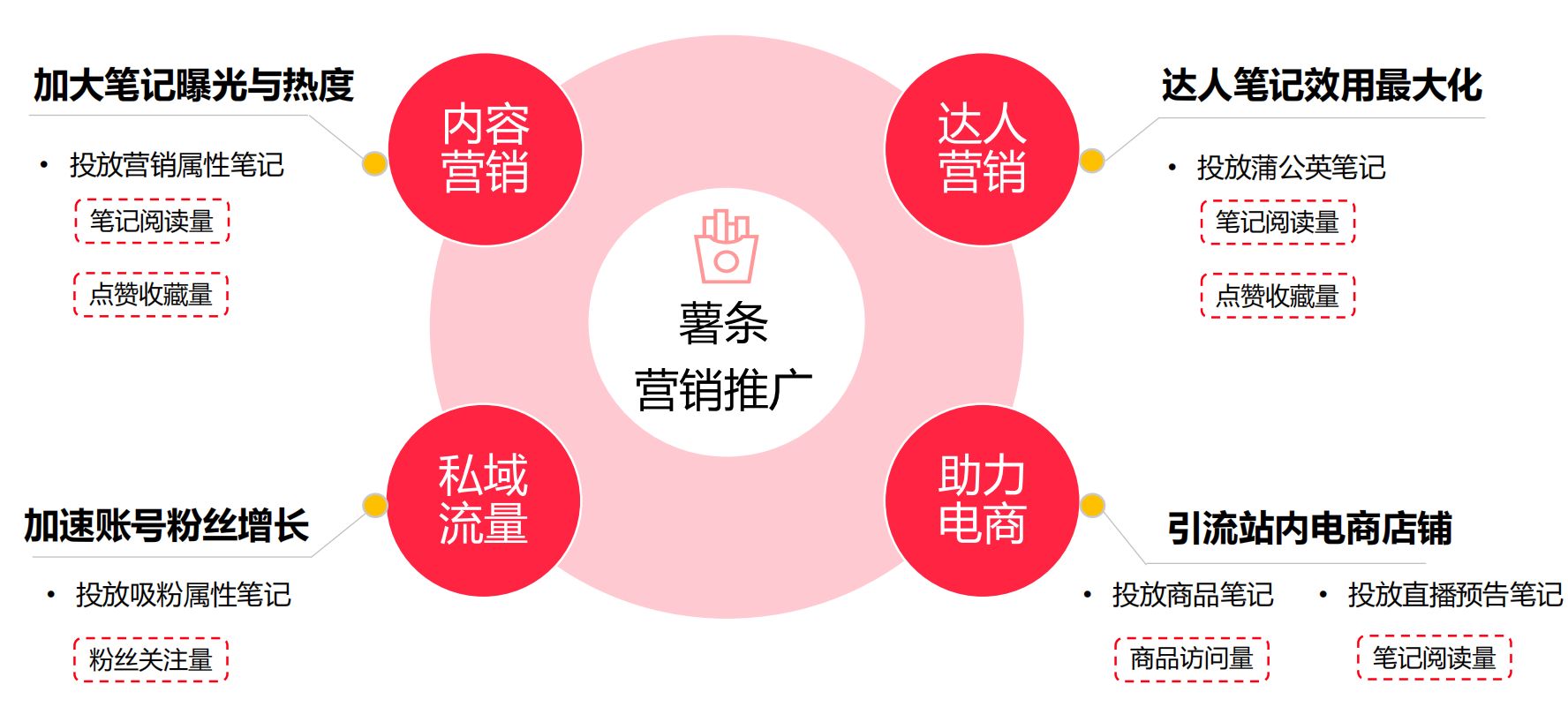 小红书薯条投放入门秘籍（新手小白投放薯条必看）