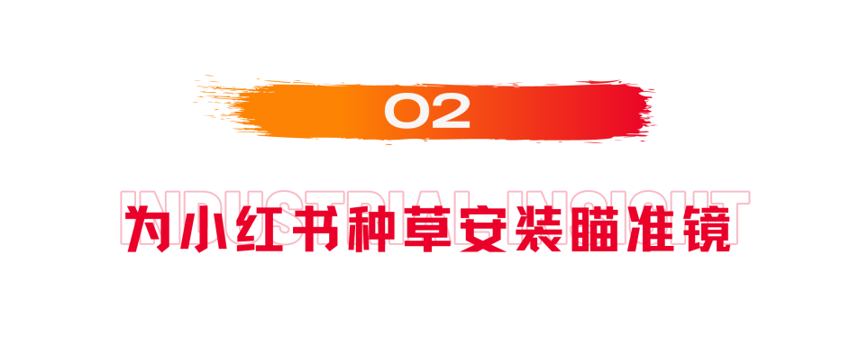 今年双11，来小红书追踪你的种草ROI