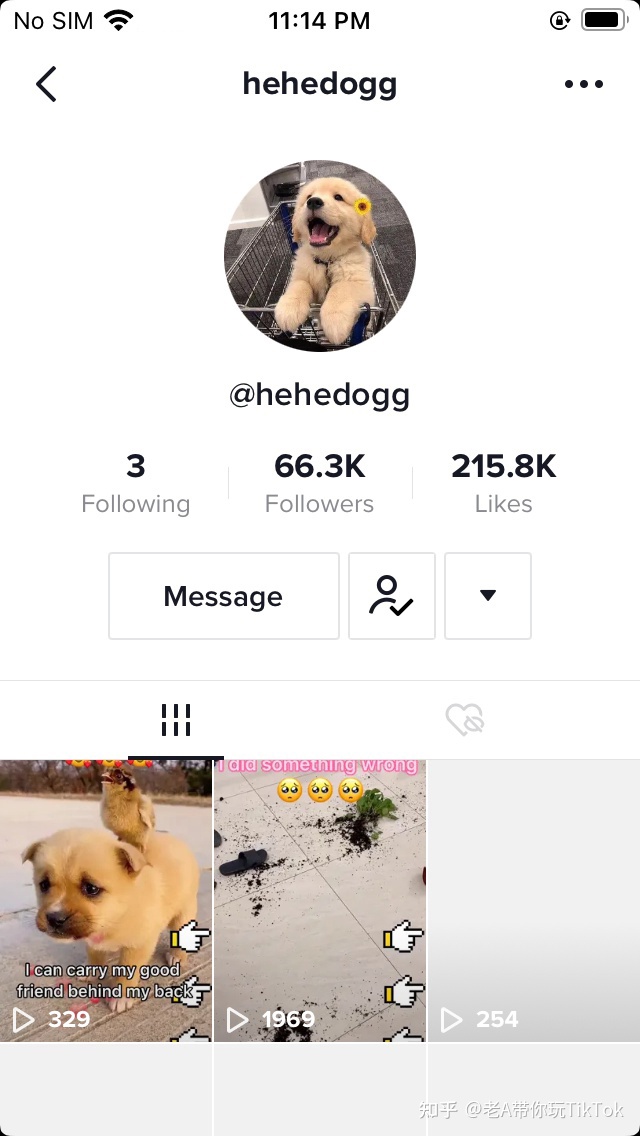 了解一下——海外抖音TikTok月涨粉100万技巧，老A纯分享 …