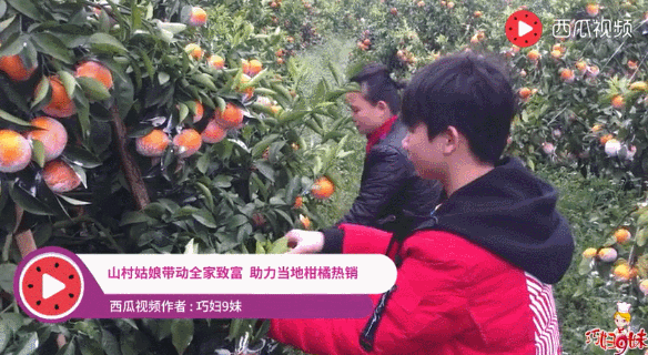 西瓜视频上不一样的他们，却都在做着这些相同的事情……