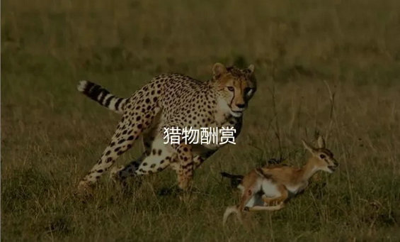 深度分析|抖音是如何一步步引诱你上瘾的? 深度分析|抖音是如何一步步引诱你上瘾的?