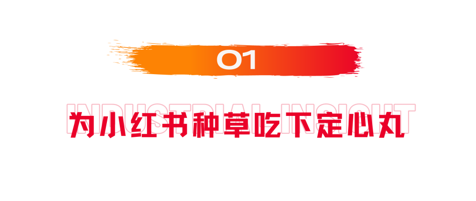 今年双11，来小红书追踪你的种草ROI