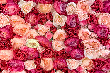 淘宝保价多少天?有哪些规则? 淘宝保价多少天?有哪些规则?