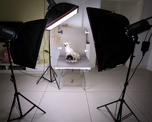 淘宝宝贝怎么拍照?淘宝宝贝拍照技巧